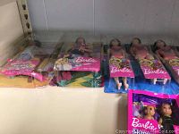 Shelf showing Barbie dolls in original packaging, various outfits, some with pets and accessories visible.