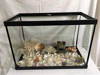 Full view of the empty 20 gallon aquarium with shells, coral, rock and treasure chest inside.