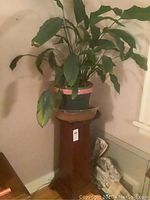 Wooden pedestal plant stand with a green leafy plant on top, placed against a corner wall by a window, showing size and environment.