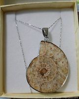 Sterling silver necklace with a polished ammonite fossil pendant on a chain inside a presentation box.