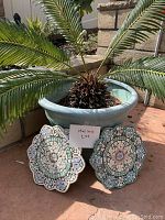 Wide photo showing the potted palm frond plant with two decorative garden stones placed in front.