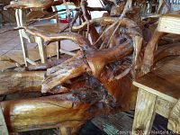 Close-up of polished tree root base showing intertwined branches and natural grain.