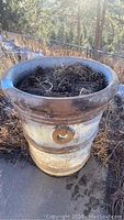 Two images of one large concrete planter with plant debris inside, showing weathered patina, decorative ring details, and a wide flared rim.
