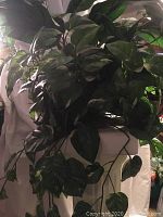 Full view of white faux concrete plant stand with integrated faux plant with trailing green leaves.