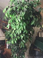 Photo showing full height of the artificial tree with numerous green silk leaves and bamboo planter below.
