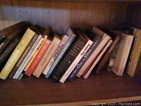 Books arranged side-by-side on a wooden shelf, showing assorted titles including novels and non-fiction.