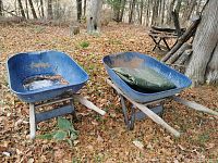 Two blue metal wheelbarrows side by side on leaf-covered ground outdoors with rust and wear visible; one contains a folded green tarp.