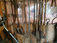 Image showing various long-handled garden tools such as shovels, pitchfork, hoes, and rakes, all with wooden handles and metal working ends, hanging in a wooden shed.