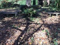 Two curved cement benches visible in a wooded yard, surrounded by fallen leaves and greenery.
