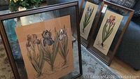 Image showing two smaller framed iris watercolor paintings leaning on the floor in a living room, both about 17x20 inches.