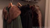 Photograph of several vintage coats with distinct fur collars hung on wooden hangers in a closet, emphasizing the variety of fur textures and colors.
