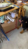 Medium cardboard box filled with various stuffed animals and plush toys, including tan, green, gray, white, and black colored plushes, along with a large black dog plush standing on the floor next to the box.
