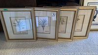 Four framed botanical prints arranged together, showing gold frames and white matting