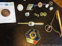Small assortment of service club enamel pins and pinbacks laid out on black fabric background, including Rotary International, Lions Club, GS, and other pins, along with a tie clip and a hanging pin with chain.