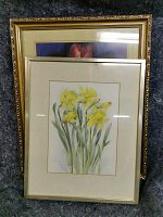 Two framed paintings, with the one in front being a watercolour of yellow daffodils by Kathleen England