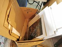 Open cardboard box filled with several white-matted prints and lithographs.