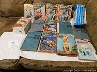 Photo shows 18 used books arranged on brown sofa including boxed Chronicles of Narnia set, three blue hardcover Tom Swift books, four Hardy Boys paperbacks, and assortment of other books such as Fudge-a-Mania and Sherlock Holmes.