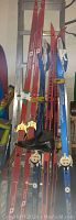 Full view of four pairs of cross country skis showing red adult skis, blue youth skis with bindings, and orange Louis Rossignol skis.