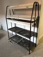 Front view of assembled three tier stand holding two light fixtures on rails and three plastic trays