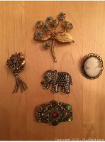 Five brooches arranged on wooden surface showing floral, elephant, cameo, multi-colored gemstone brooch, and tassel watch brooch