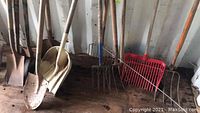 Multiple wooden handled garden tools including shovels, pitchforks, a red plastic scoop rake, and dirt shovels arranged standing against a wall