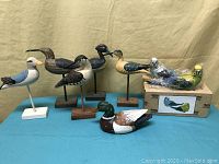 Full view of all eight bird carvings showing five shorebirds mounted on bases in front and mallard duck with two boxed parakeets behind