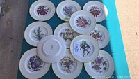 Set of 12 decorative plates laid out on a table showing various Bermuda flower designs and gold trim.