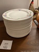 Stacked 25 Royal Doulton dinner plates with floral decoration on rim