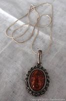 Close-up of amber pendant on silver chain, shows pendant detail and chain style.