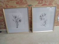 Two framed floral sketches side by side, showing overall condition and framing.