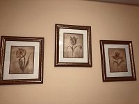 Three framed flower prints hung on a wall, each print features a different flower on a neutral background with brown frames and white mats.