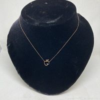 Full necklace displayed on black velvet bust showing the pendant and chain length