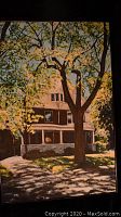 Painting of house with tree shadows and leaves in front, warm natural tones on canvas panel.