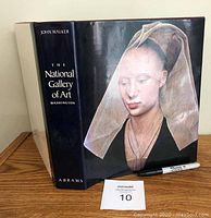 Front cover and spine of the large hardcover art book showing title, author, and artwork on the dust jacket.