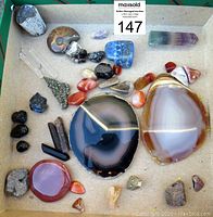 Top-down photo of entire rock and mineral collection in cardboard box showing a variety of polished stones, fossils, and mineral specimens including two large agate slices, ammonite fossil, dinosaur bone piece, and colored quartz points.