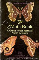 Front cover of The Moth Book by W.J. Holland showing cover wear and moth illustrations.