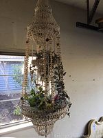 Full view of the vintage seashell macramé plant hanger hanging near a window, showing its length and shell details.