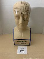 Front view of ceramic phrenology bust with labeled intellect and emotional faculties