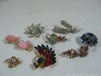 Full view of all costume jewelry pieces showing the range of colors and styles in the lot including brooches and clip earrings.