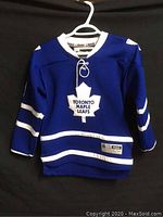 Front view of blue Toronto Maple Leafs hockey jersey with white stripes and logo.