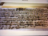 Wide view of many vintage collector spoons laid out on a table.