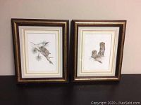 Photo of two framed animal prints: bears and koala prints side by side