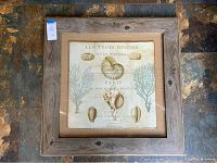 Framed seashell and coral print with wooden frame on stone floor.
