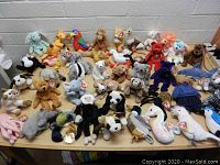 Overview photo showing a large assortment of Ty Beanie Babies in various animals and colors arranged on a table.