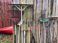Photo showing an assortment of long handled rakes including a red fan rake, a broom, metal wide rake, several pitchforks, green leaf rake, and various garden tools hung on a wooden fence.