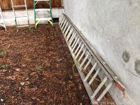 Aluminum extension ladders including Werner brand laid on the ground against a wall.