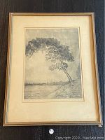 Framed engraving of bent tree over water by Malte Sterner, overall view.