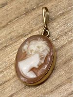 Front view of oval cameo pendant showing delicately carved female profile in white relief on a brown background with gold frame and bail.