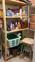 Metal shelving with cleaning chemicals, cleaning supplies, laundry basket, flowerpot, green watering cans, and metal stool with footrest