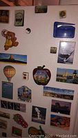 Fridge view with multiple colorful travel-related souvenir magnets showing tourist destinations, animals, and landmark scenes.